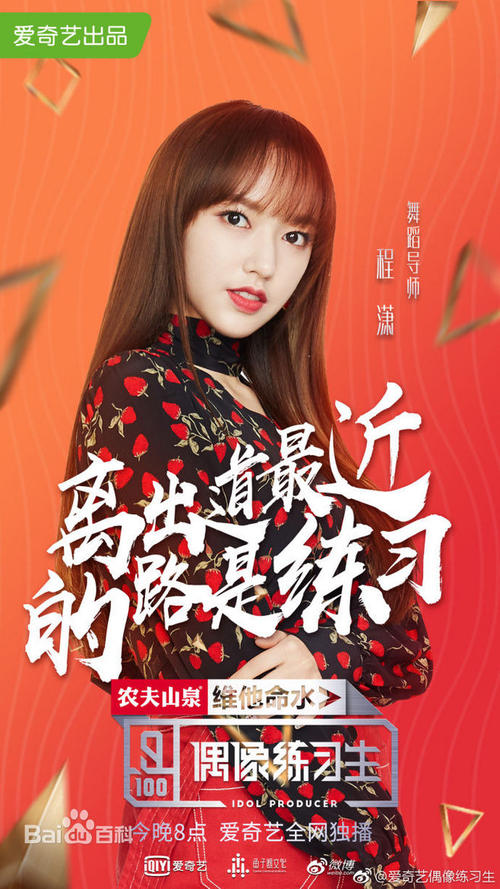 南卡罗来纳大学DiplomainFinance